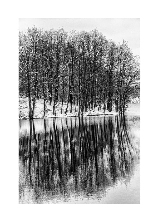 Træer der spejler i søen poster