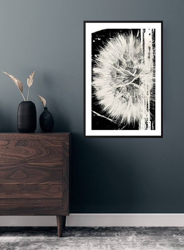 Dandelion flower poster
