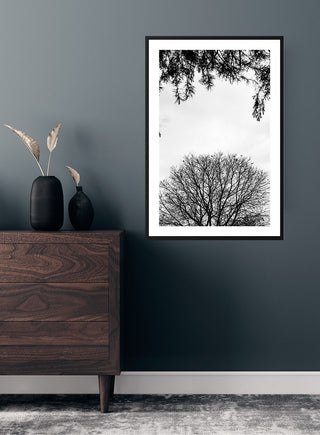 Black and white poster of tree branches on a wall above a wooden dresser in a modern room.
