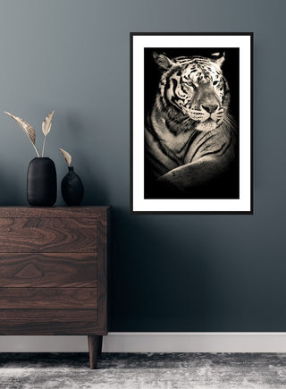 Cool as ice tiger poster featuring a calm, majestic tiger in black and white on a dark wall above a wooden dresser.