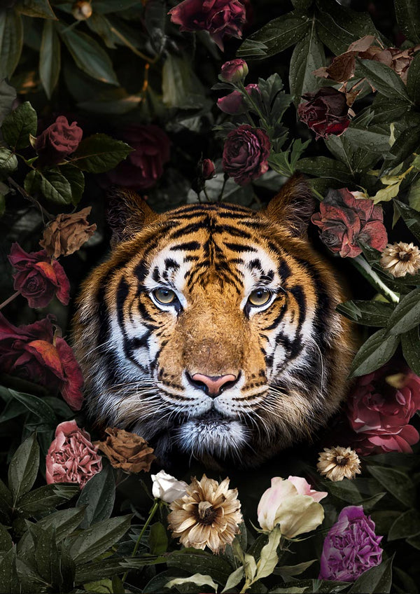 Tiger med blomster poster