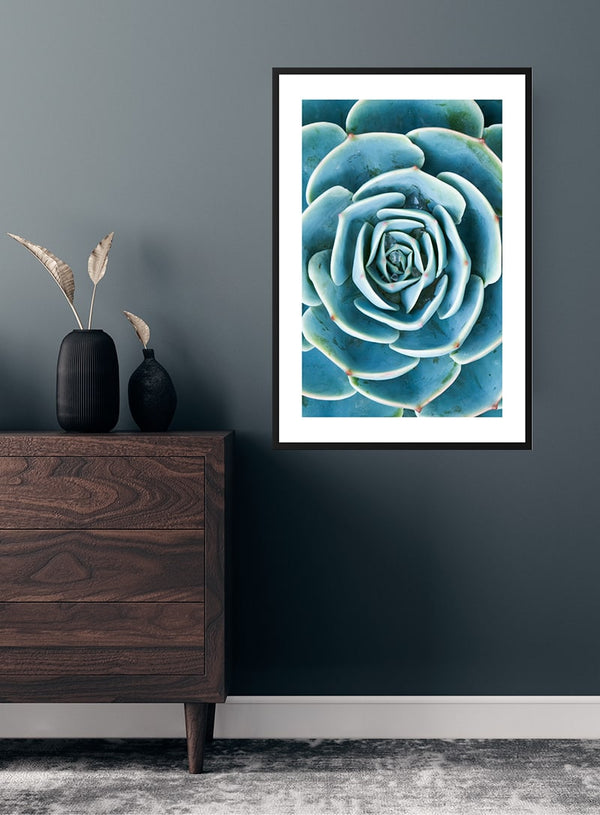 Green Sukkulent poster
