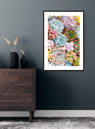 A framed Multicolor Sukkulent poster featuring assorted vibrant succulents on a dark wall above a wooden dresser.