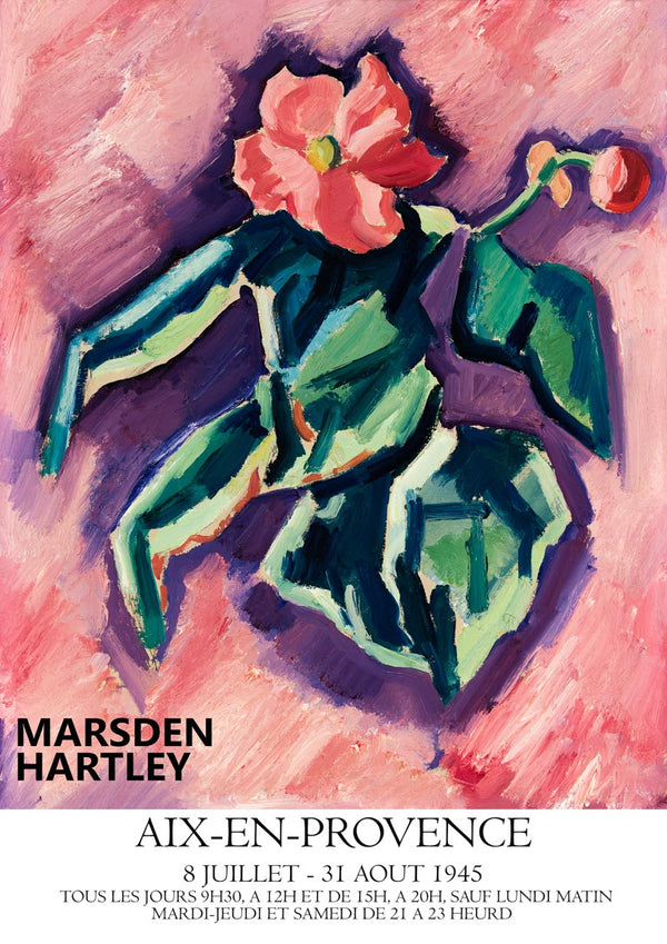 Pink Begonias - Marsden Hartley poster