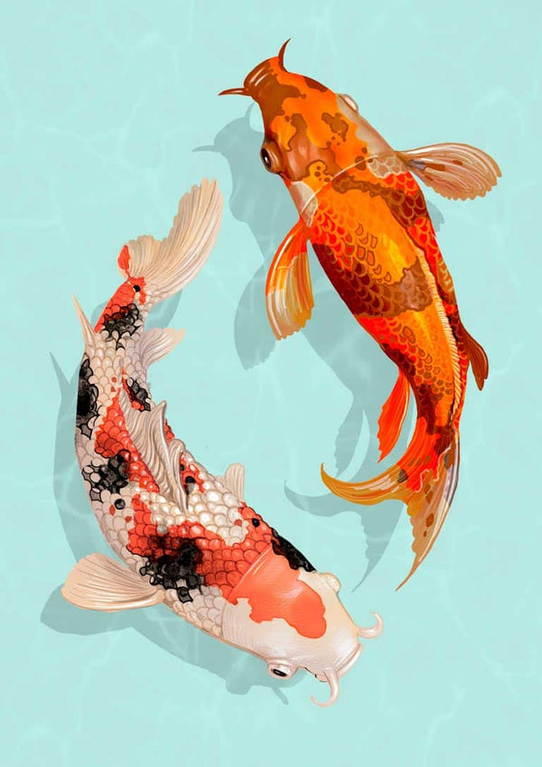 Japanske Karper Poster