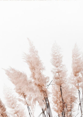 Minimalist abstract print of beige reed plants against a white background, featured on the Abstact Reeds No. 3 Plakat page.