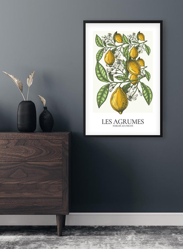 Les Agrumes Poster til stuen