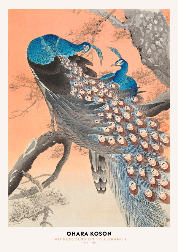 Ohara Koson - Two Peacocks Poster