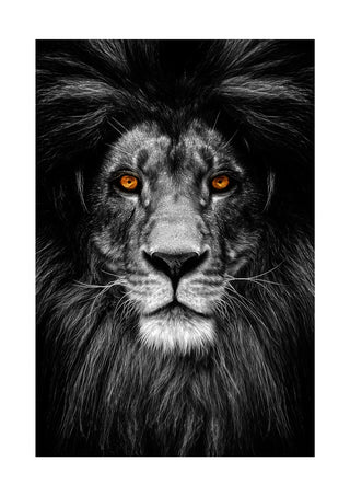 Black and white lion portrait poster with vivid orange eyes, featured on a Løve product page.