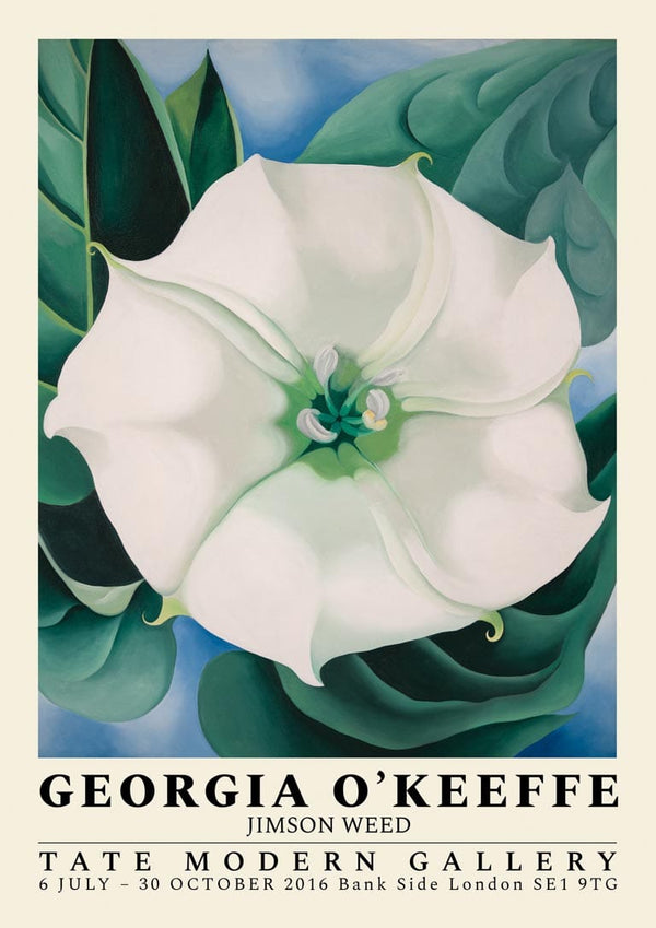 Jimson Weed - Georgia O'Keeffe Poster