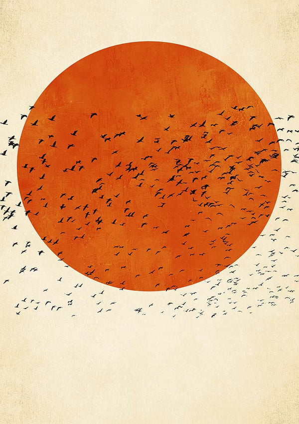 Birds In the Sun - Boris Draschoff
