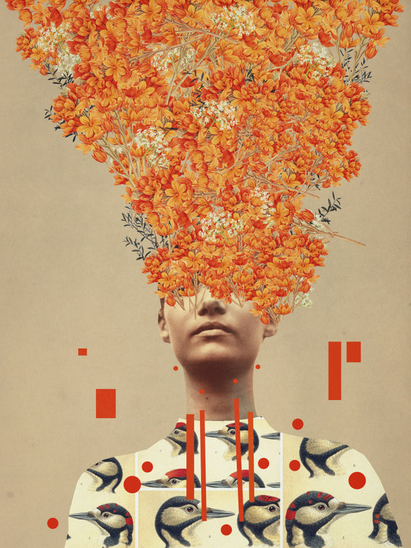 Fågelflykt på hösten - Frank Moth