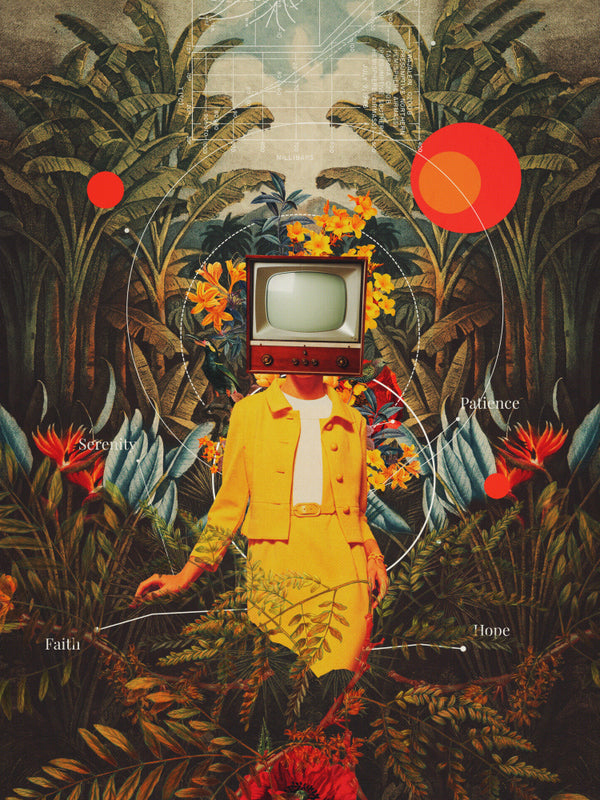 Hon kom från vildmarken - Frank Moth