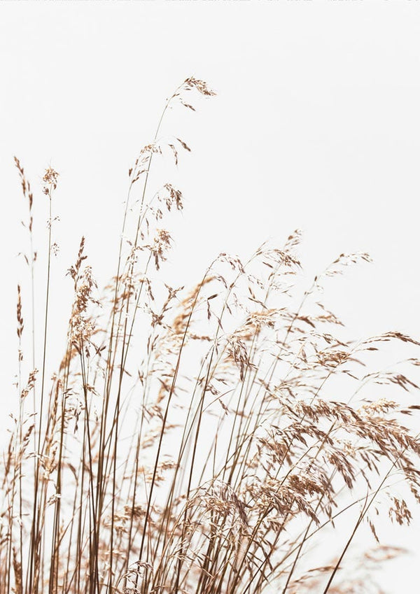 Abstract Reeds No. 2 Poster