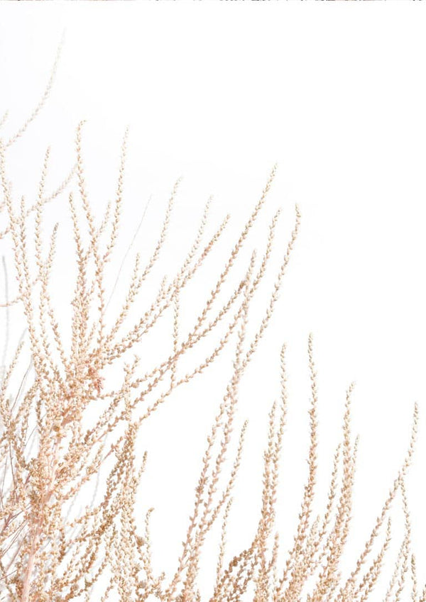 Abstract Reeds No. 4 Poster