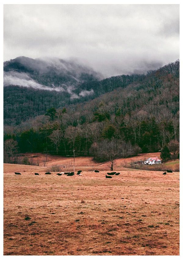 Mountain in the Background Naturposter