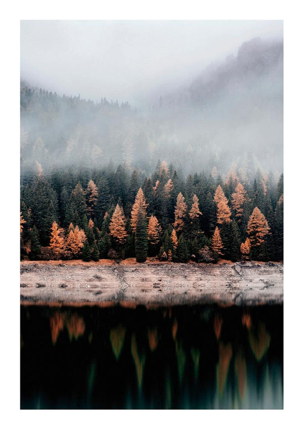 Autumn Trees and a Lake Naturposter