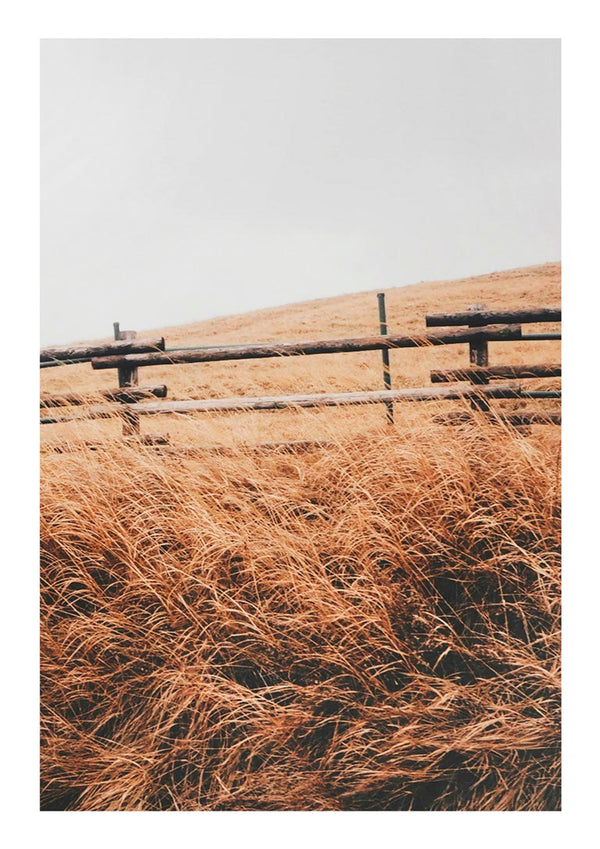 Autumn Field Naturposter