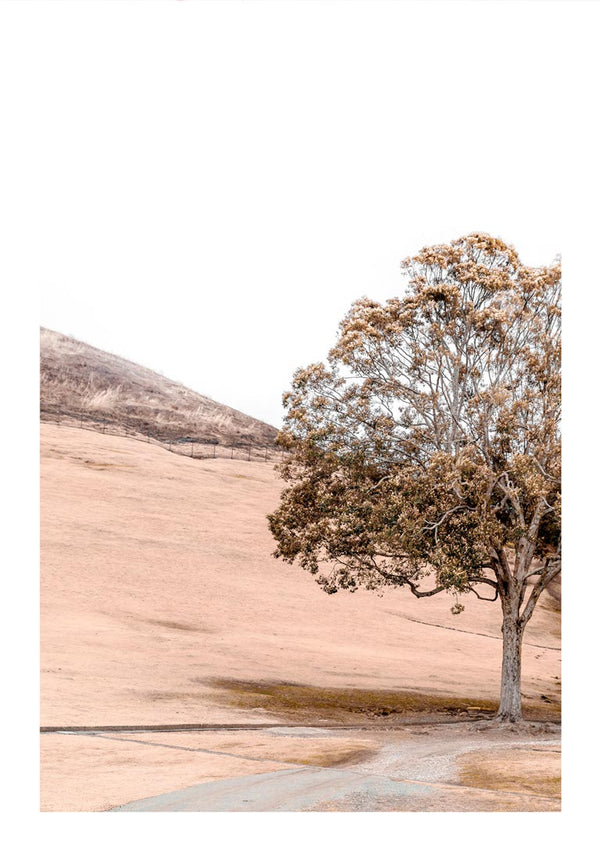 Mountain Mirroring in Lake Poster