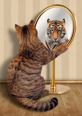 A cat looks into a mirror and sees a tiger, symbolizing self-perception and ambition for Megalomania.