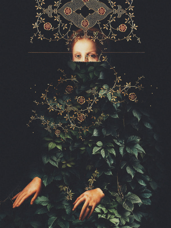 Tålamod II av Frank Moth - Frank Moth